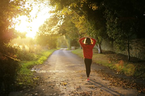 Microbes and the Human Brain: Exploring the Link Between Gut Bacteria and Mental Health