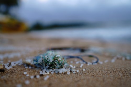 The Rise of Plastic-Eating Bacteria: Can Nature Solve Our Pollution Problem? - discoverwildscience