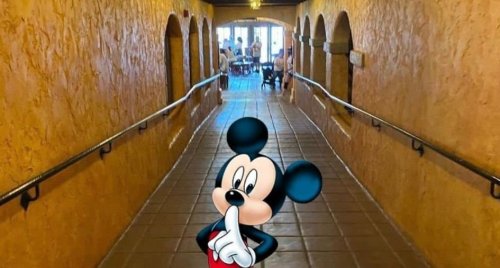 The Dining Hideaway at Disney That No One Talks About  DisneyTips.com