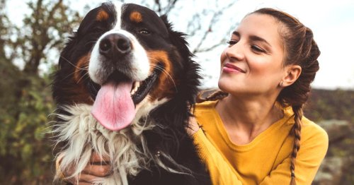 Dog Owners Are Happier Than Cat Owners — But Who Needed This Survey to Confirm It?