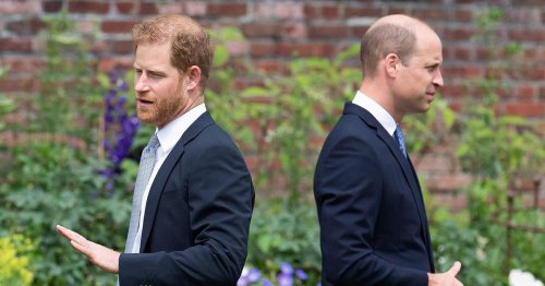 William's Final Texts to Harry Have Gone Viral as Harry Returns to the U.K.