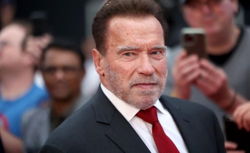 Is Arnold Schwarzenegger Running for President? He's Expressed Interest Before