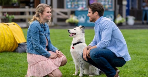 Hallmark’s ‘Romance to the Rescue’ Is a Human Love Story, but a Dog is the Real Star