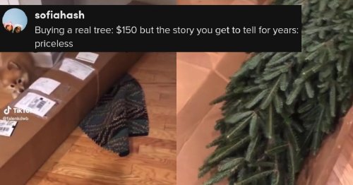 Woman Thinks She's Buying a Fake Tree from Williams Sonoma, Gets this in the Mail Instead