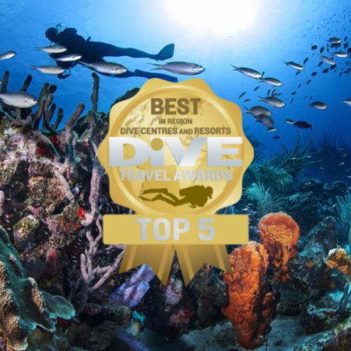 TOP 5 REGIONAL DIVE CENTRES AND RESORTS SO FAR