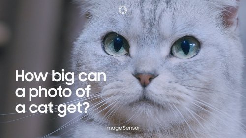 Samsung say their 200mp camera sensor is the cat's whiskers with building-sized photo demo