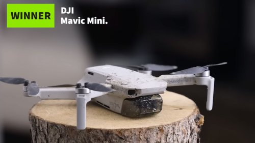 This DJI Mavic Mini goes up against a bald-faced hornet's nest and... well, it wins