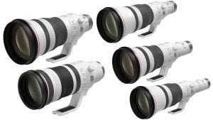 Canon firmware addresses pan assist for super-long telephoto RF lenses