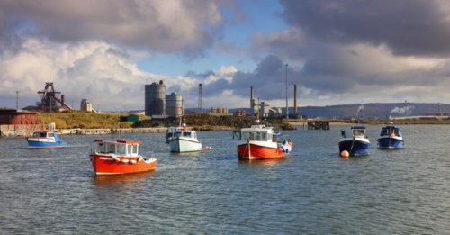 The sandeel is an unlikely barometer of Brexit benefits