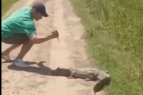 Animal Viral Video: Man Tries to Tease Crocodile, the Lesson he Learns is Unbelievable; Watch