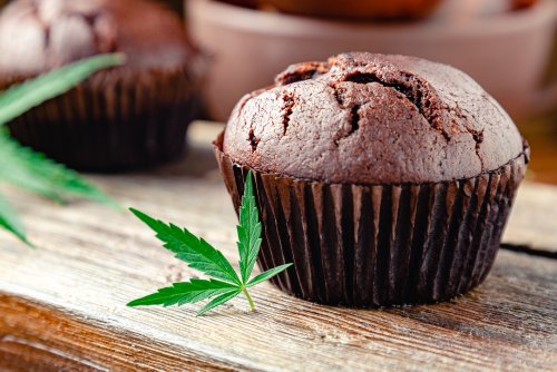 Plusieurs femmes hospitalisées après avoir mangé un gâteau au CBD, le Dr Kierzek rappelle les risques de ces "space cakes"