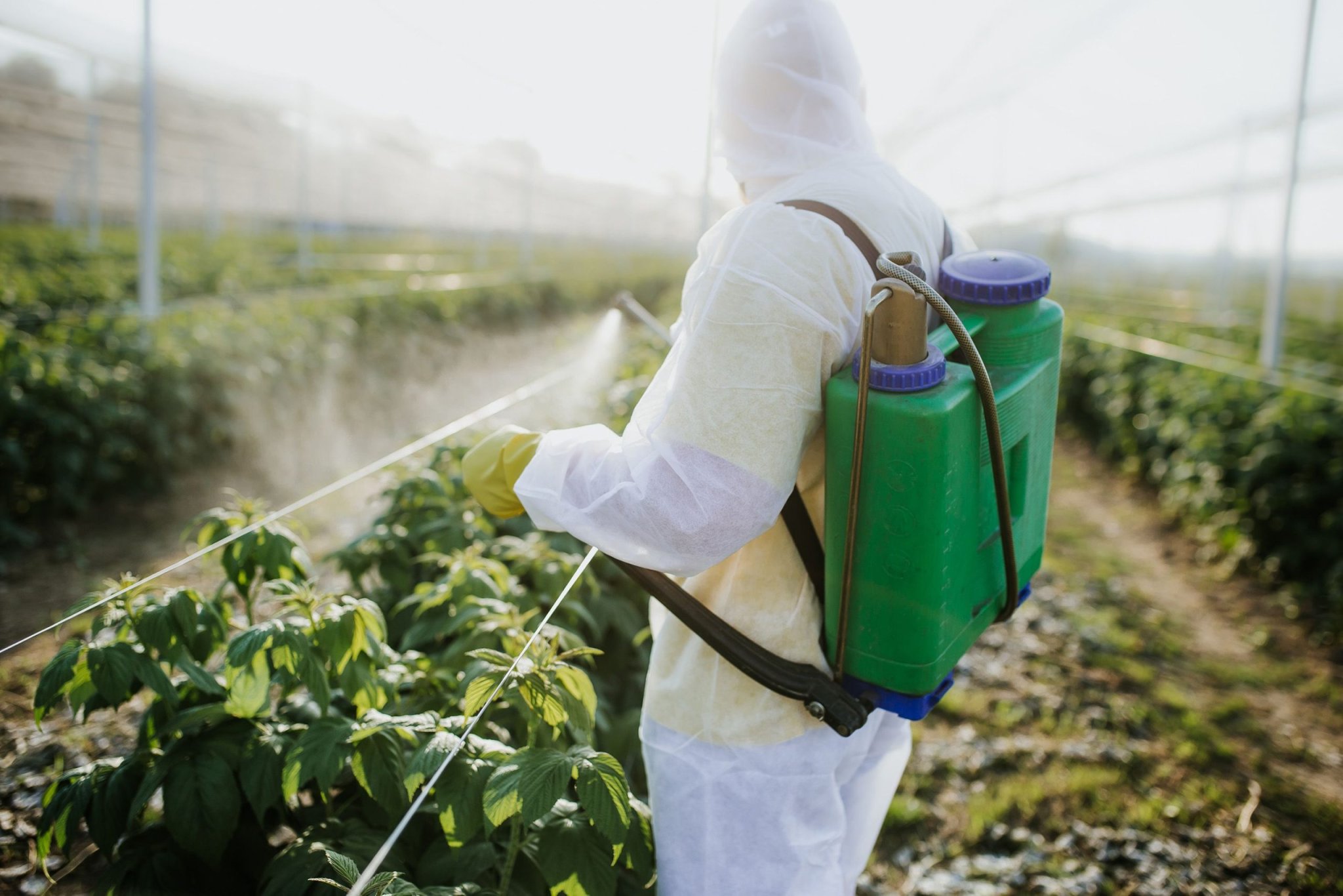 Le reflux des pesticides est "inéluctable", estime un chercheur français