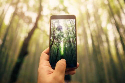 Quand le simple fait de voir la nature nous guérit