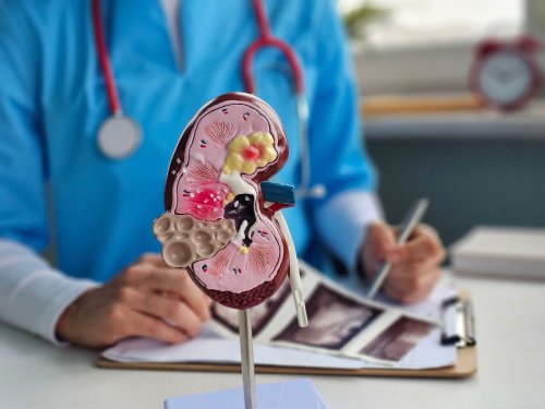 Et si vos reins étaient en danger sans que vous le sachiez ? Un néphrologue dévoile les gestes à adopter dès maintenant