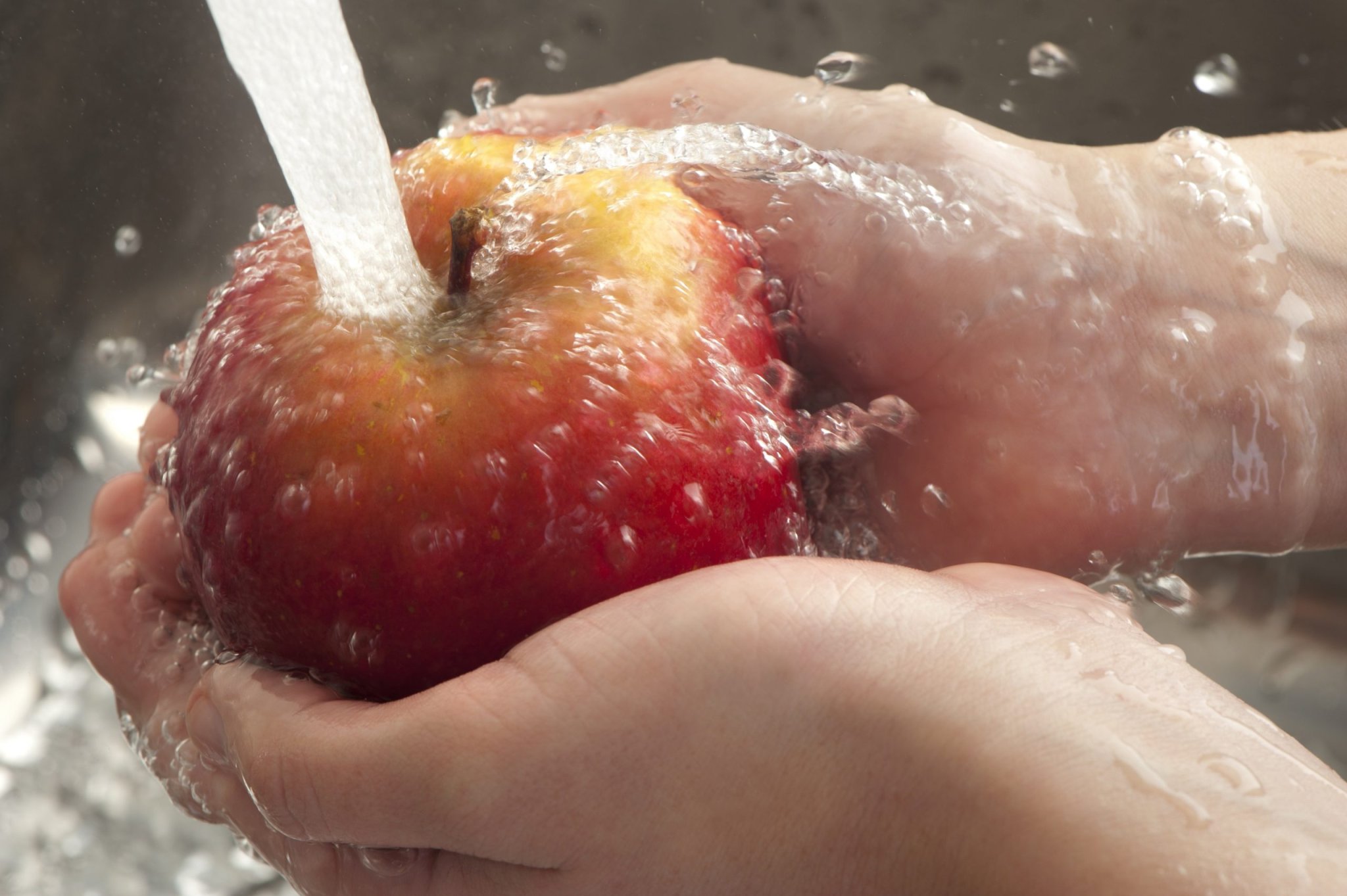 La pomme « zéro pesticide » de demain, fruit d’une recherche tous azimuts