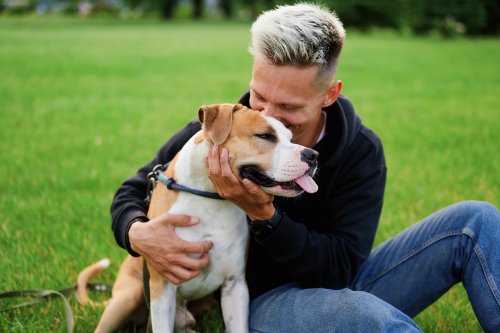 Le chien, ce partenaire de vie qui comble (presque) tous nos besoins affectifs