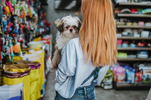 Les Français ne reculent devant aucune dépense pour leur animal de compagnie