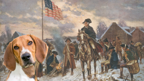 The Story of the American Foxhound and Its Role in the Nation’s History