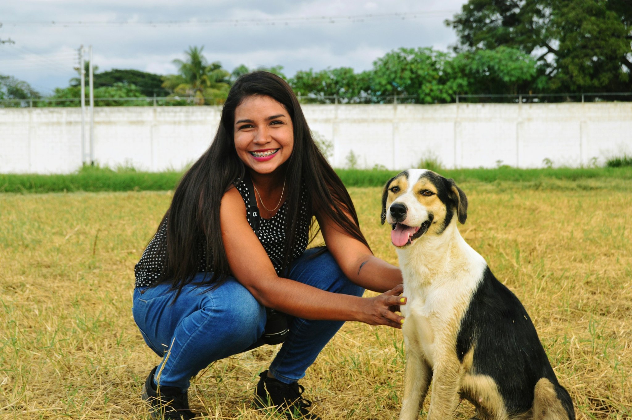 HOW DOGS CAN DETECT EPILEPTIC SEIZURES WITH ONE PARTICULAR ODOR - cover