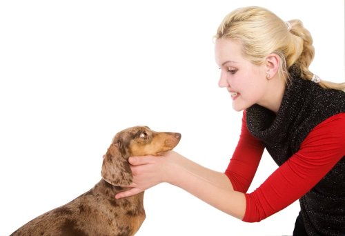 Trending Dog News - cover