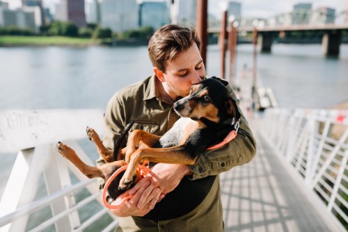 12 Simple Things To Make Your Dog Love You More