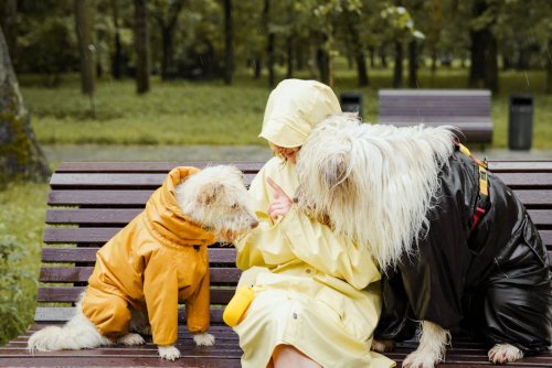 Weird Things All Dog Owners Do (But Will Never Admit)