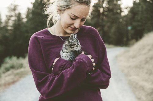 10 Tiny Things You Do Every Day That Mean the World to Your Cat