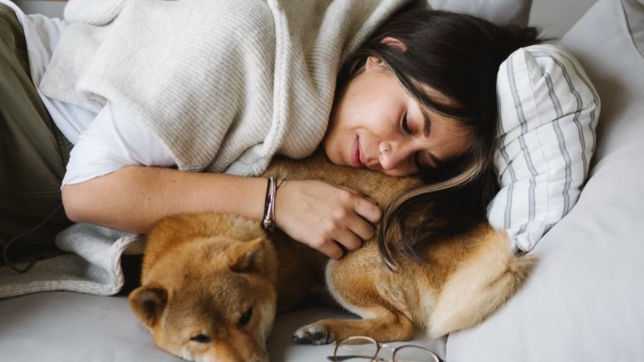 What IT MEANS WHEN DOGS SLEEP WITH THEIR BACK PRESSED AGAINST YOU - cover