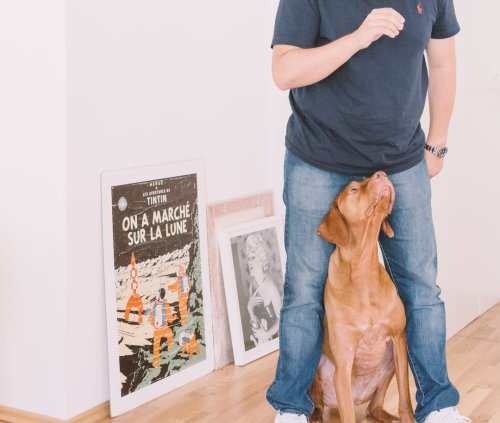 15 Fascinating Ways Dogs Sense Your Mood Before You Do