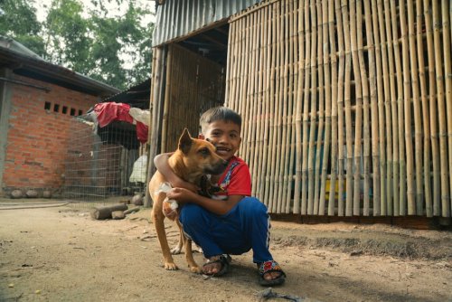 Should All Families with Young Children Own a Dog? The Debate Over Responsibility and Safety