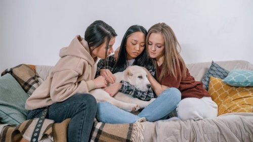 Are Some Dog Breeds Truly More Empathetic? The Science Says…