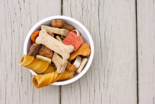 How to Choose the Right Treats for Your Dog