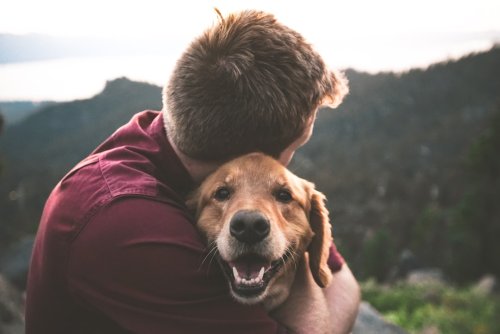 The Psychological Effects of Living With a Dog