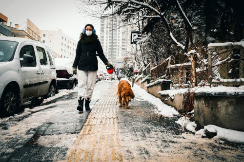 13 Small Actions That Will Mean Everything to Your Dog