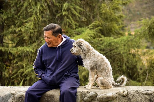 7 Mistakes Dog Owners Over 50 Make Without Realizing It