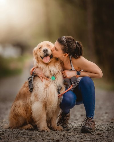 10 Signs Your Dog Is Aging Gracefully and How To Make Their Golden Years Happier