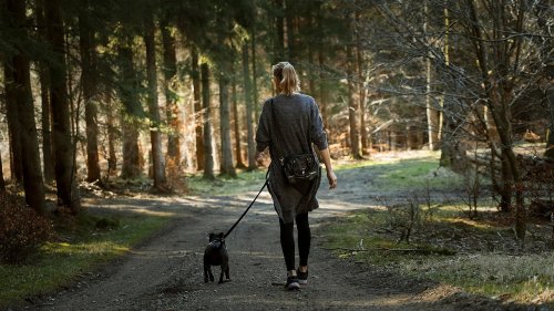 15 Quiet Moments That Strengthen Your Bond With Your Dog