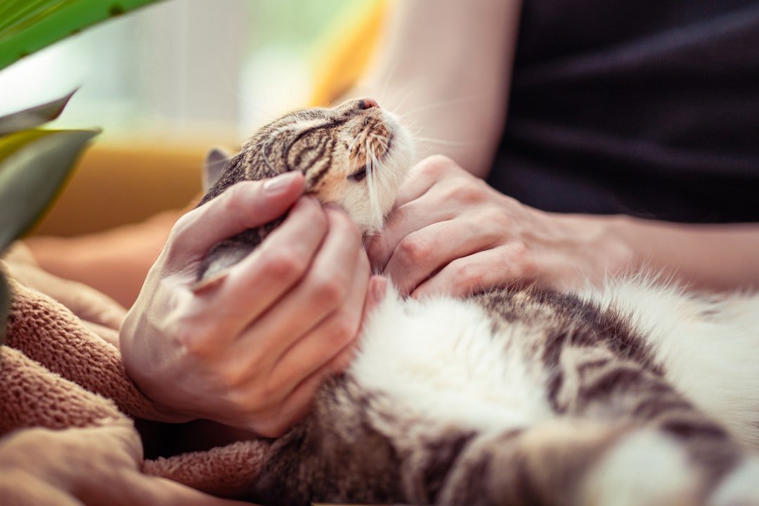 Pets, Etc. cover image