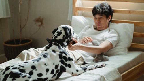 DOG PSYCHOLOGY - cover
