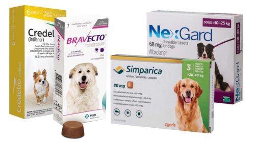 FDA WARNS: Flea and Tick Medications Linked to Seizures, Muscle Tremors in Dogs & Cats - The Dogington Post