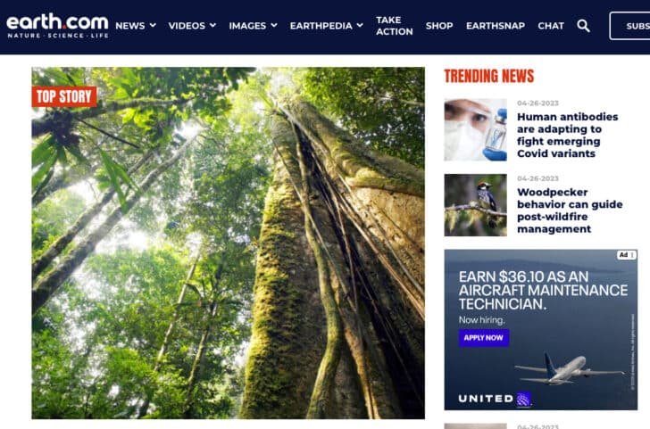 Earth.com files for bankruptcy, owing $5 million for domain name