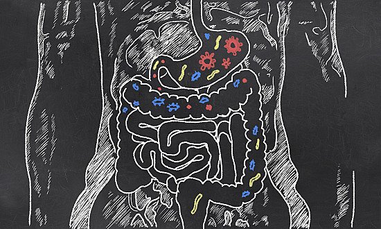 Leaky gut: What is it, and what does it mean for you?