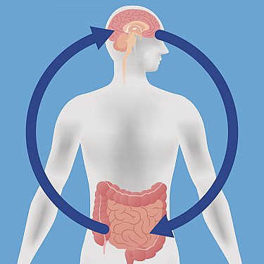 Probiotics may help boost mood and cognitive function - Harvard Health