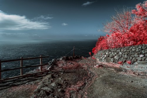 15 Gennaio 2021 - Dorota Szymonowicz - Top Selection Infrared