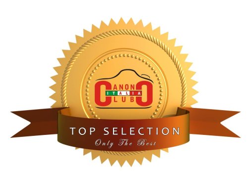 Come partecipare alle nostre TOP SELECTION e vincere