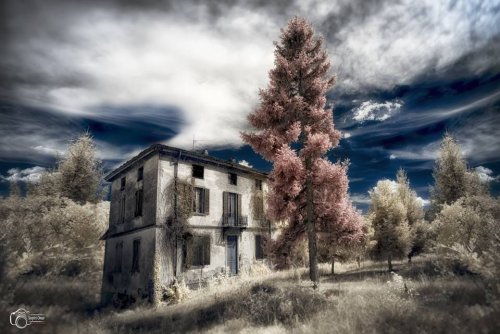 Infrared Passion by Domiad Photo Network cover image