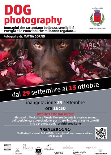 Mostra fotografica Dog Photography Mattia Gorno Photo
