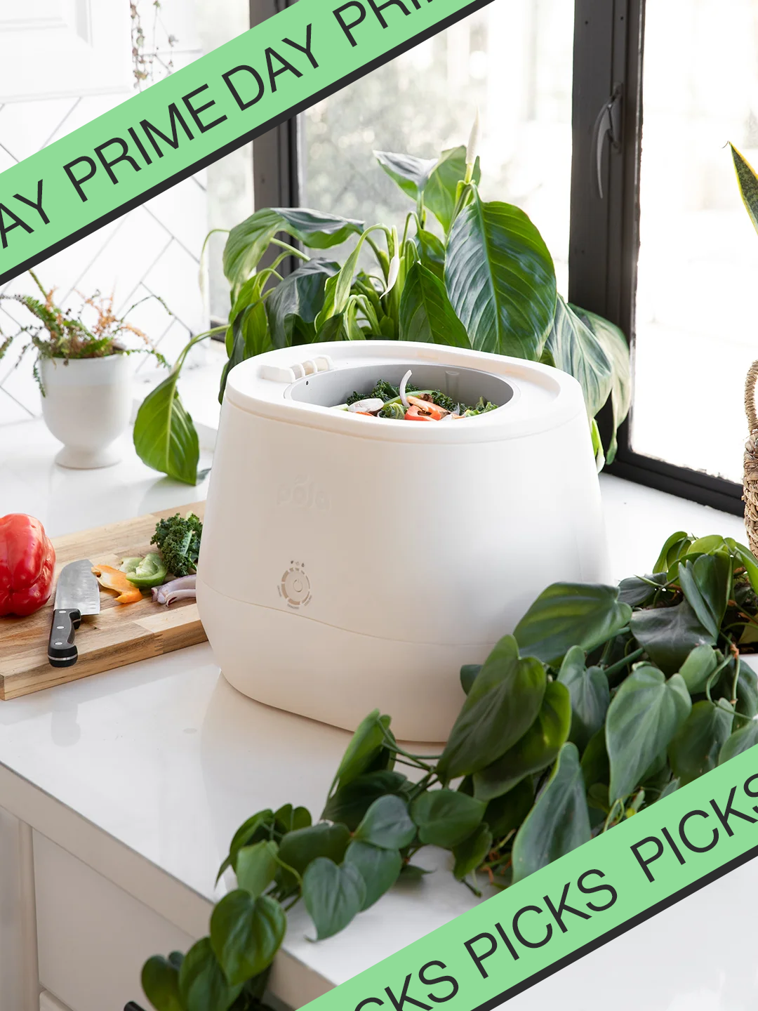 I Tested a Countertop Composter That Makes Ready-to-Use Soil Literally Overnight