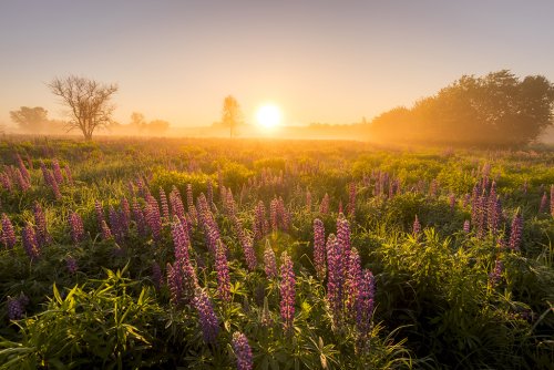 Landscape Photography Tips - cover