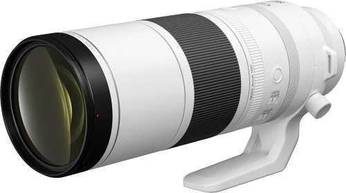 Canon RF 200-800mm F6.3-9 IS USM: Digital Photography Review